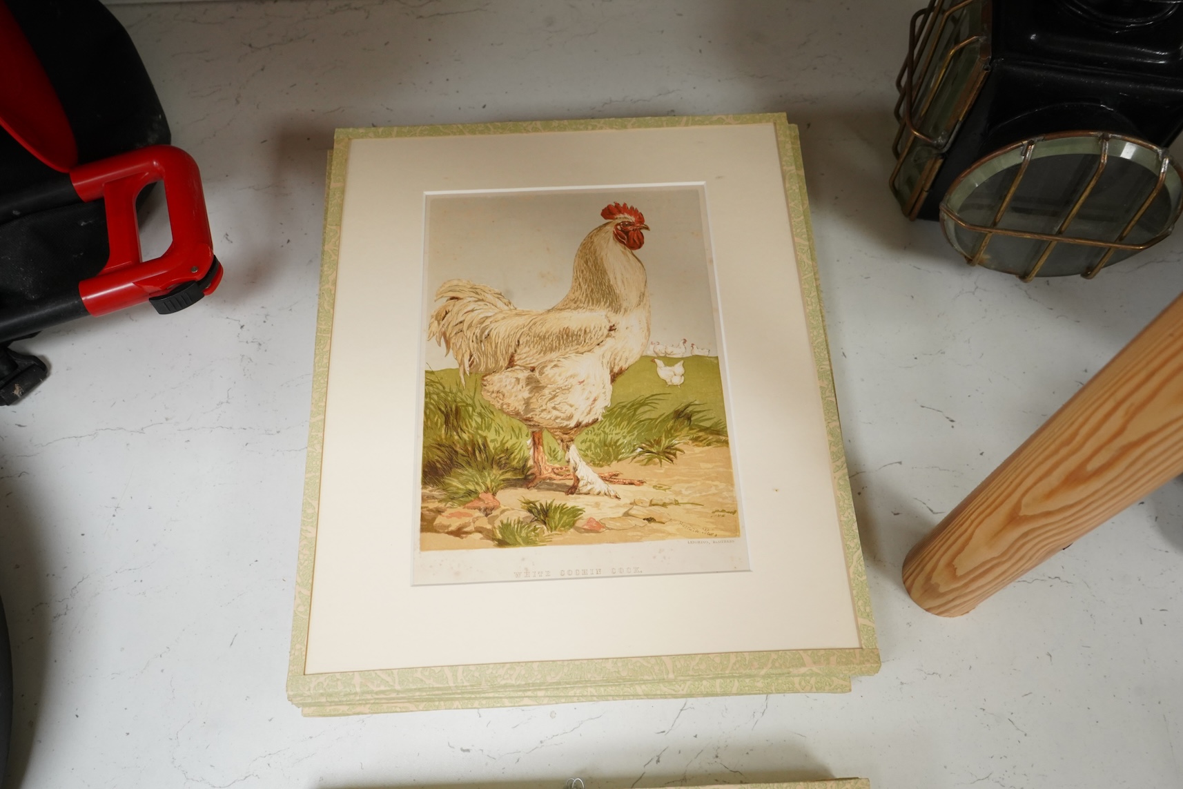 After Harrison William Weir RI (1824-1906), studies of birds to include ‘Guinea fowl’, ‘White Cochin Cock’ and ‘Peacock’, a set of thirteen coloured prints, published by Leighton Brothers, 21 x 16cm